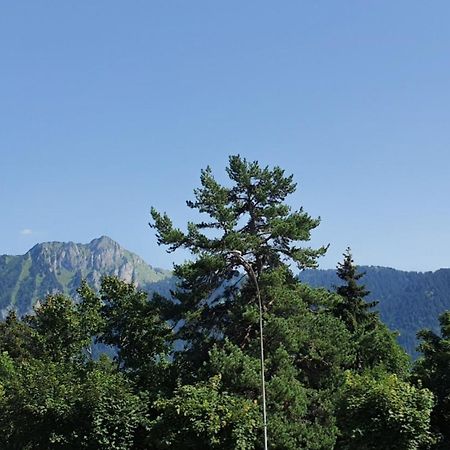 Heidi Διαμέρισμα Leysin Εξωτερικό φωτογραφία